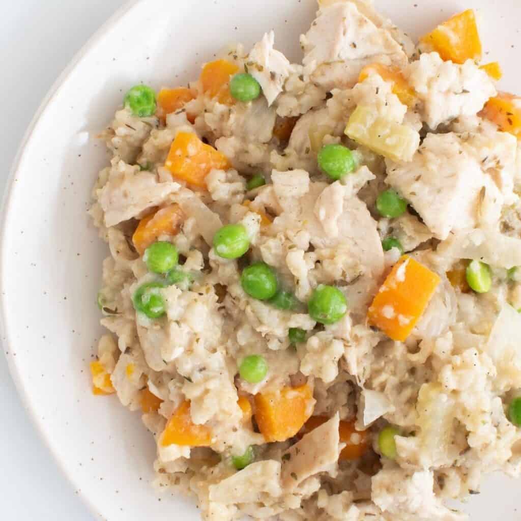 Crockpot Chicken and Rice (Easy Dinner!) - Hint of Healthy